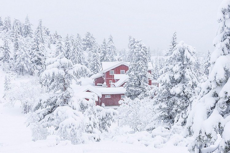 冬季雪景风光拍摄五个小技巧